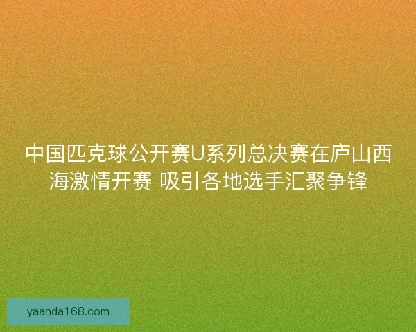 中国匹克球公开赛U系列总决赛在庐山西海激情开赛 吸引各地选手汇聚争锋