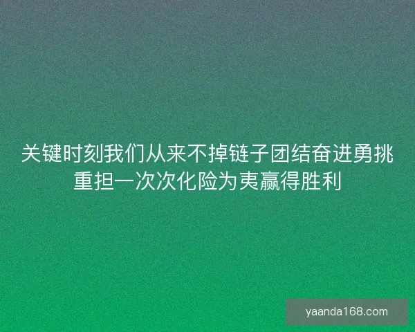 关键时刻我们从来不掉链子团结奋进勇挑重担一次次化险为夷赢得胜利